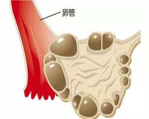 北京试管代生机构,北京301医院生殖科