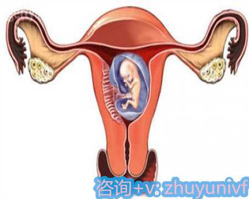 北京靠谱代怀网,石景山哪家医院做卵泡监测好,北京做卵泡监测去哪家医院